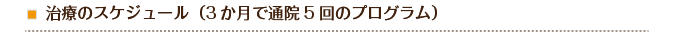 治療のスケジュール（3か月で通院5回のプログラム）