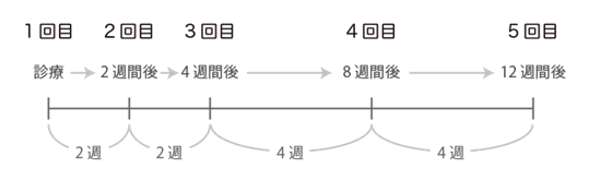 治療のスケジュール