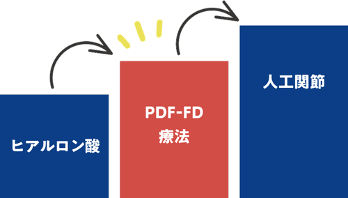 PDF-FD療法イメージ
