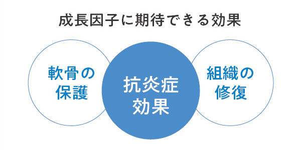 成長因子に期待できる効果