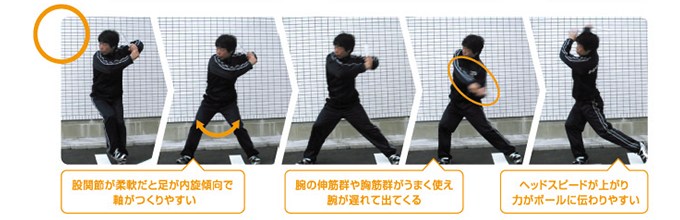 股関節が柔軟と、脚が内旋傾向で軸がつくりやすい　腕の伸筋群や胸筋群がうまく使え腕が遅れて出てくる　ヘッドスピードが上がり力がボールに伝わりやすい